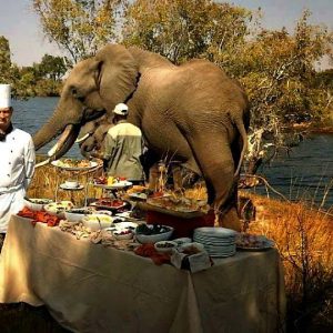 Insika Tours_David livingston lodge1 Insika Tours_David livingston lodge1