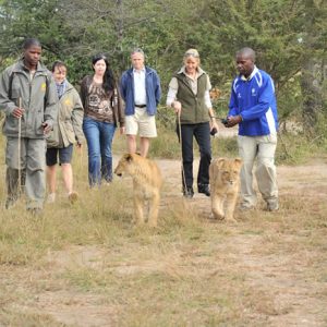 Insika Tours_David livingston lodge2 Insika Tours_David livingston lodge2