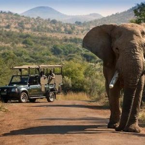 Insika_Tours_South_Africa19